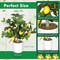 2-Pack Artificial Lemon Trees – 15.7-Inch Faux Potted Citrus Plants with White Pots, Lifelike Indoor Décor for Home, Kitchen, Office, Living Room, or Tabletop Display
